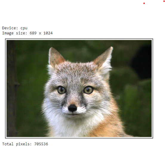 Fox image reconstructed from neural field